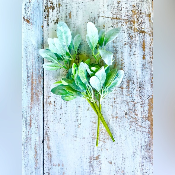 *Lamb’s Ear Pick, 13”, Bundle of 3 - Picture 1 of 13